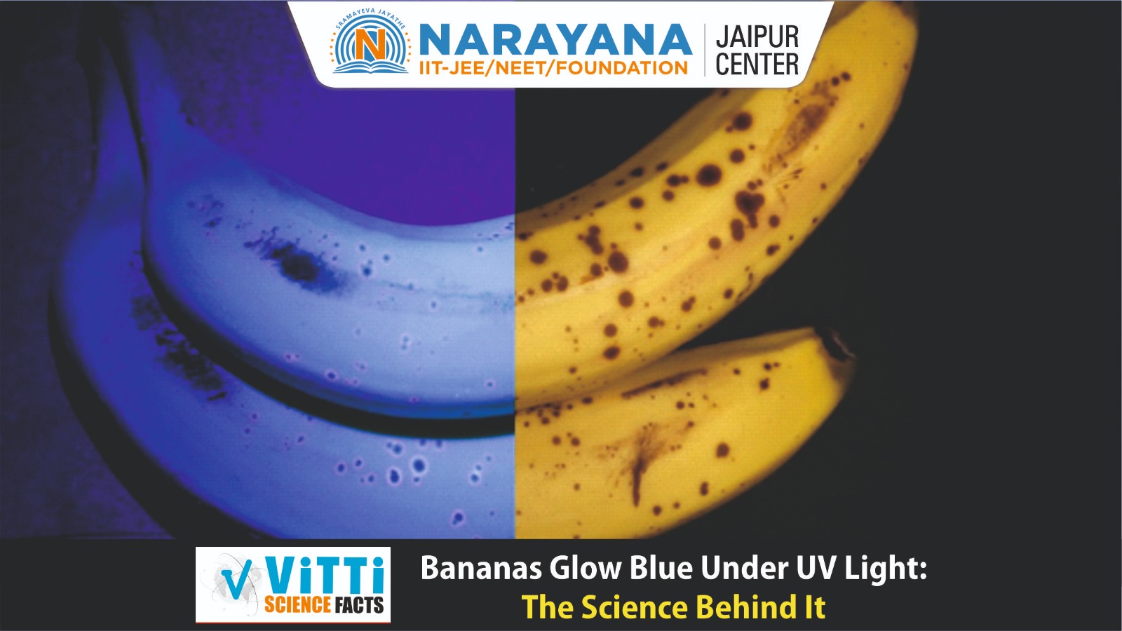 Bananas Glow Blue Under UV Light: The Science Behind It