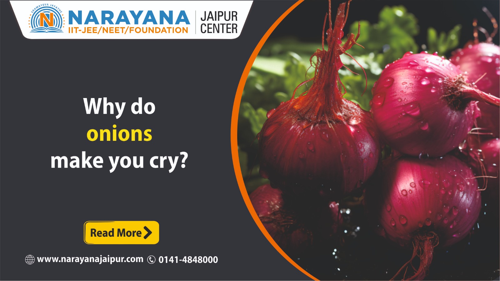 why do onions makes you cry