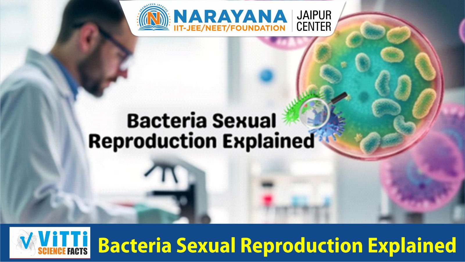 Do bacteria reproduce by sexual reproduction?